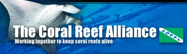 The Coral Reef Alliance